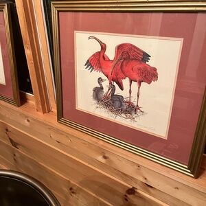 Framed Art Prints Florida Coastal Bird Families signed Limited Lithograph Pair